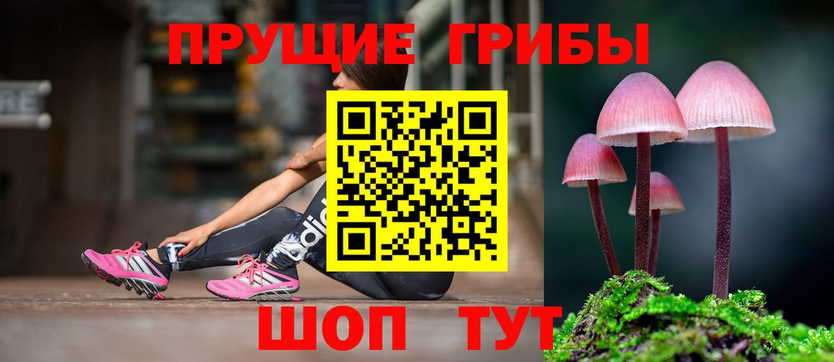 Псилоцибиновые грибы ЛСД  Вход с VPN  Волжский  Галлюциногенные грибы GOLDEN TEACHER 